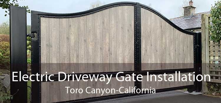 Electric Driveway Gate Installation Toro Canyon-California