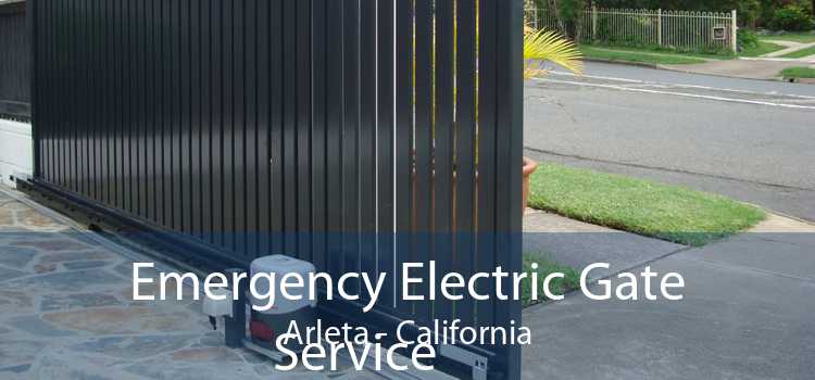 Emergency Electric Gate
            Service Arleta - California