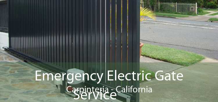 Emergency Electric Gate Service Carpinteria - California