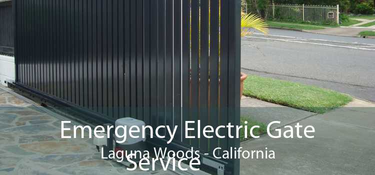 Emergency Electric Gate Service Laguna Woods - California