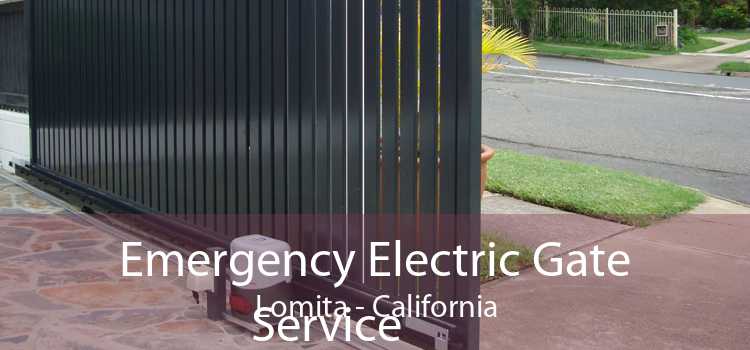 Emergency Electric Gate Service Lomita - California