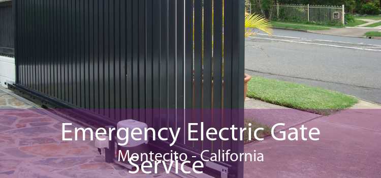 Emergency Electric Gate Service Montecito - California