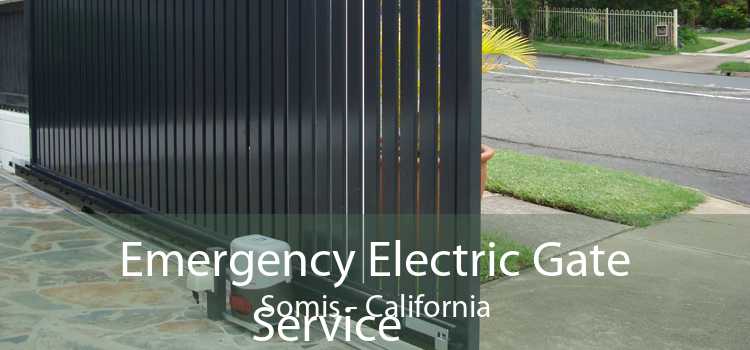 Emergency Electric Gate
            Service Somis - California