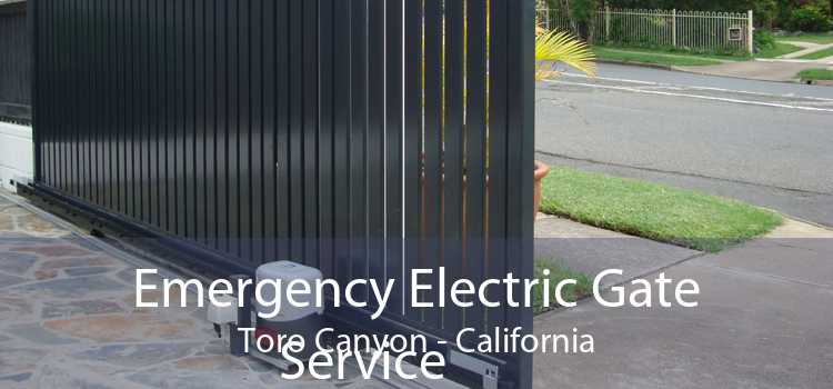 Emergency Electric Gate Service Toro Canyon - California