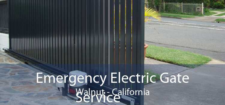 Emergency Electric Gate Service Walnut - California