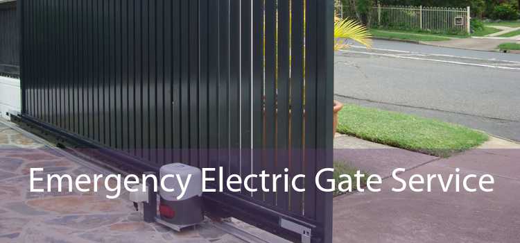 Emergency Electric Gate Service 