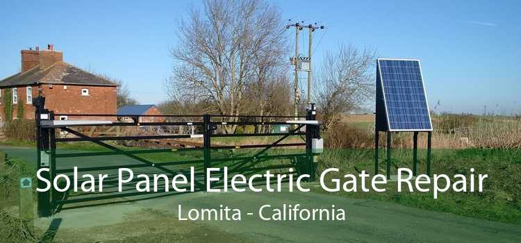 Solar Panel Electric Gate Repair Lomita - California