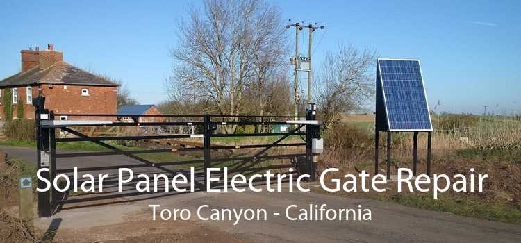 Solar Panel Electric Gate Repair Toro Canyon - California